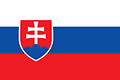 Slovenský jazyk